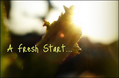 Make a Fresh Start: 12 Days of New Beginnings